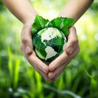 eco